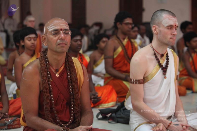 File:20151108 Photo 1034 1hRDmZNbUL7Mjr7j 3pls2V3slt3IN-8m.JPG