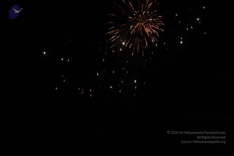 File:20151111 Photo 1041 1CAYZlVKusQ5eO55mP2AlBDDo0lAaJlCr.JPG