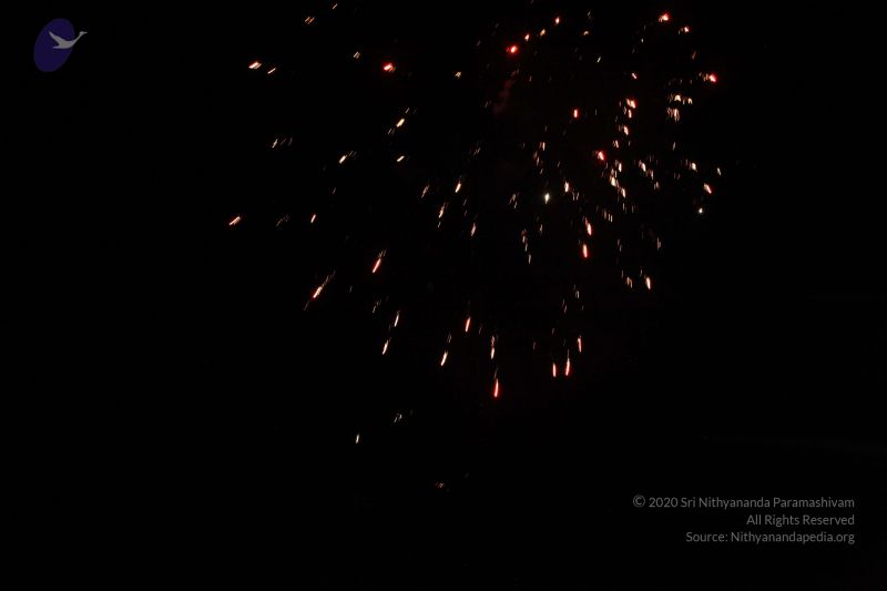 File:20151111 Photo 1042 1Bq3vED0L0Drj0YHnigOTSskOAJs0Myr2.JPG