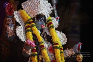 20151111 Photo 1086 1vg-HvZBCfZrnQ-7lA rWM7qzMepUvzJ3.JPG