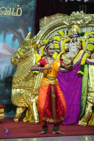 20151111 Photo 1392 1rtHO58Km yPOFPWDN6DUhtE2-f8NA7lB.JPG