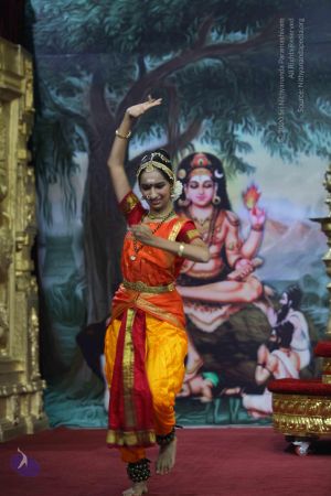 20151111 Photo 1394 13ebzJhtNpVazhlSsAvd-p14TSQ-EQ-ro.JPG