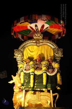 20151111 Photo 1407 1t za8d9WzRhT4shHPsL0eCeZpFDnHl2Y.JPG