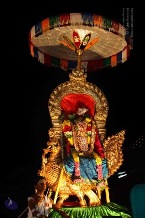 20151111 Photo 1408 1JywuDfWJnmXjrmkA2Hgxpnn5H7Q 2w2T.JPG