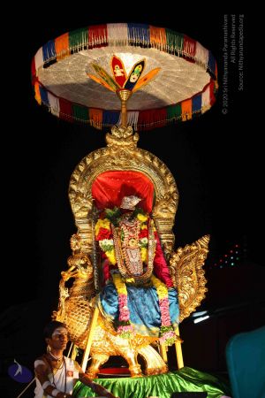 20151111 Photo 1409 1s5VzO7Fjv-TLvhlDXv1L4-VtmHLtBpbo.JPG