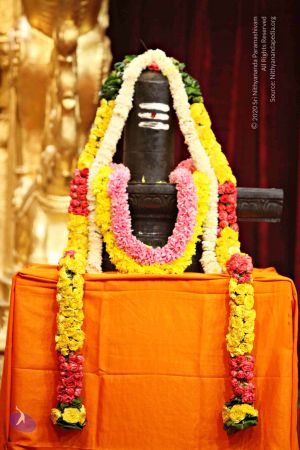 20151118 8218 CMP WM.jpg