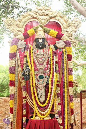 20151118 8276 CMP WM.jpg