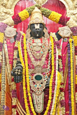 20151118 8277 CMP WM.jpg