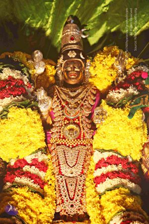 20151118 8602 CMP WM.jpg