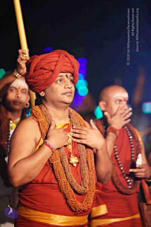 20151118 8637 CMP WM.jpg