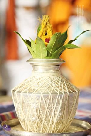 20151118 8696 CMP WM.jpg