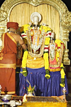 20151118 8723 CMP WM.jpg