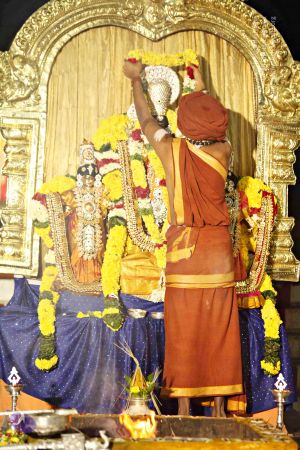 20151118 8777 CMP WM.jpg