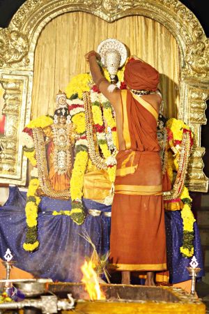 20151118 8778 CMP WM.jpg