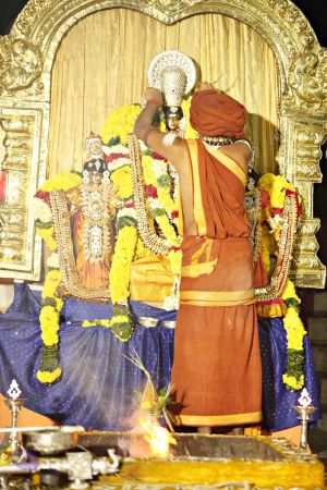 20151118 8779 CMP WM.jpg