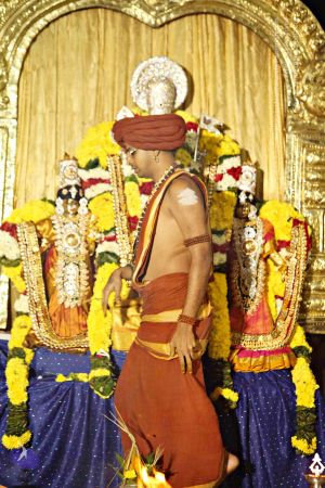 20151118 8780 CMP WM.jpg