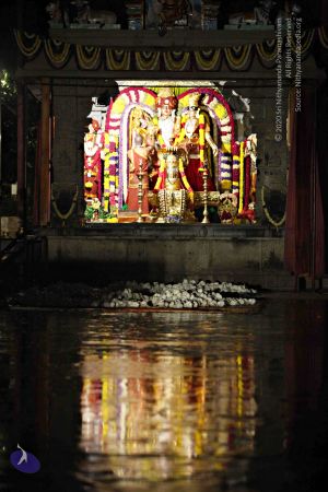 20151118 8818 CMP WM.jpg