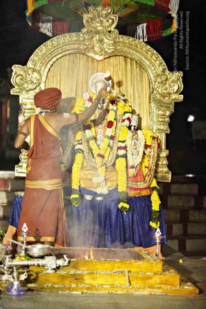 20151118 8852 CMP WM.jpg