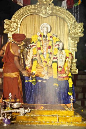 20151118 8853 CMP WM.jpg