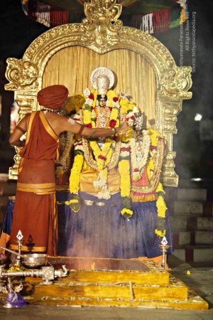 20151118 8854 CMP WM.jpg