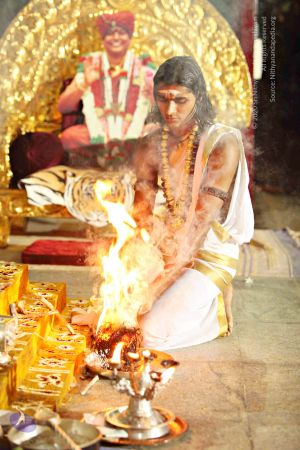 20151118 8959 CMP WM.jpg