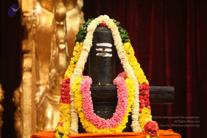 20151118 Photo 1059 1-1S3PAW8 bkir fuXT4hC5BhUqYedxSP.JPG