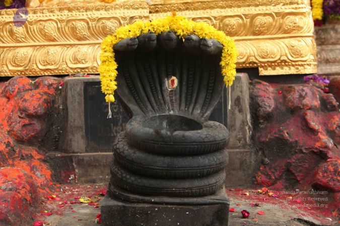 20151118 Photo 1098 10ghxdHh9 29xpjVjnR8tDOtSkIko10HC.JPG