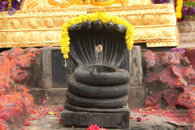 20151118 Photo 1099 1W8klAzZwG5GfbHvtoC25KpdmCeqemibS.JPG