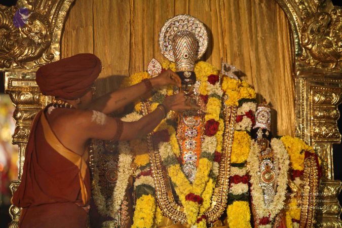 20151118 Photo 1324 1lcr4RAPSiAgTAb5yzVTeDBuqtrl8uYl2.JPG