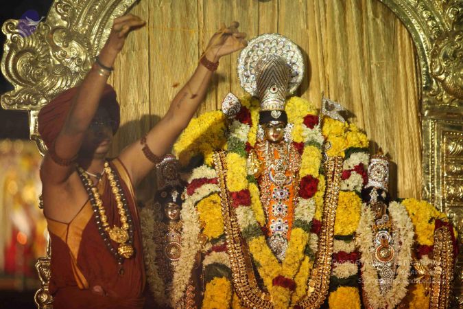 20151118 Photo 1325 1QLYEj7vovtAY5XHjCjARzhxM9wGilEcD.JPG