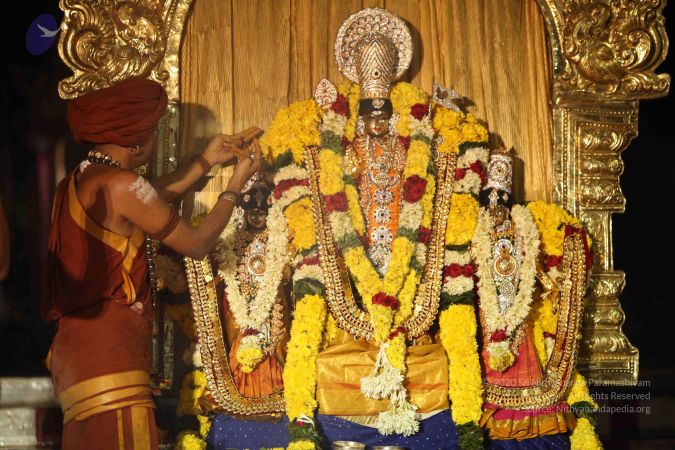 20151118 Photo 1328 1vl-MFdda0SbIWjJter447pATx46ewEaJ.JPG