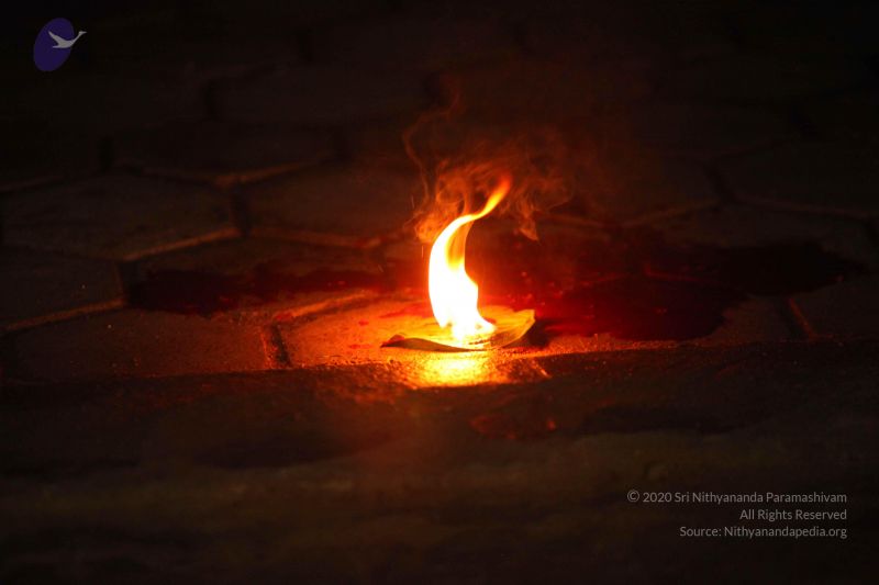 File:20151118 Photo 1365 1agL i1czAch4aGdEzr-mxXoj0SizDMEp.JPG