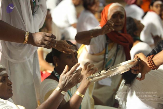 20151118 Photo 1426 1worU7NpMCYhwoRfZXQNSJLjKP3xqhhs .JPG