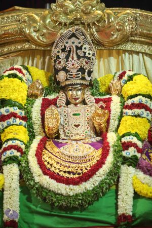 20151119 Photo 1180 1MwVsxDlATIvHtSnAdn3q23-lDap3siOE.JPG