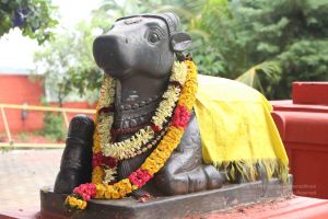 20151121 Photo 1030 1koFRijrjJBoFMCvZ79p t2zlZo1ys4tm.JPG