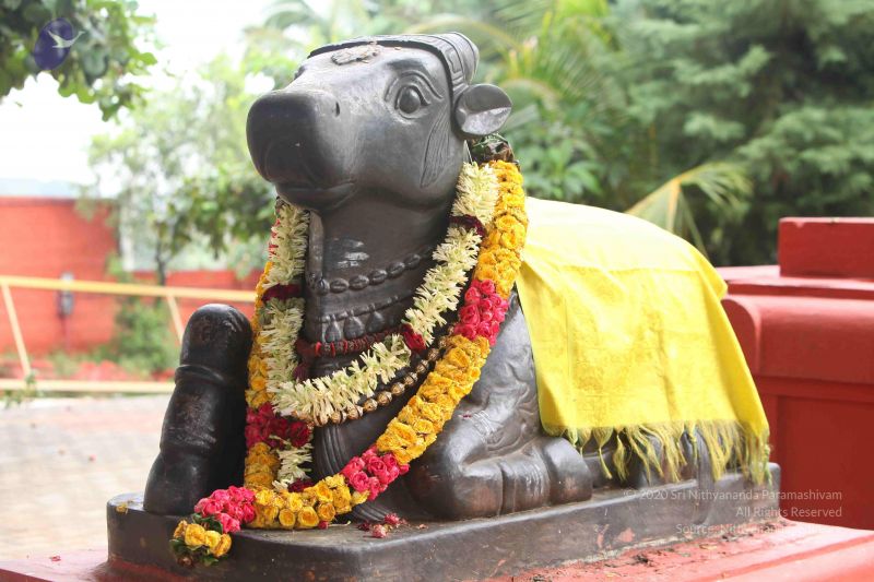 File:20151121 Photo 1030 1koFRijrjJBoFMCvZ79p t2zlZo1ys4tm.JPG