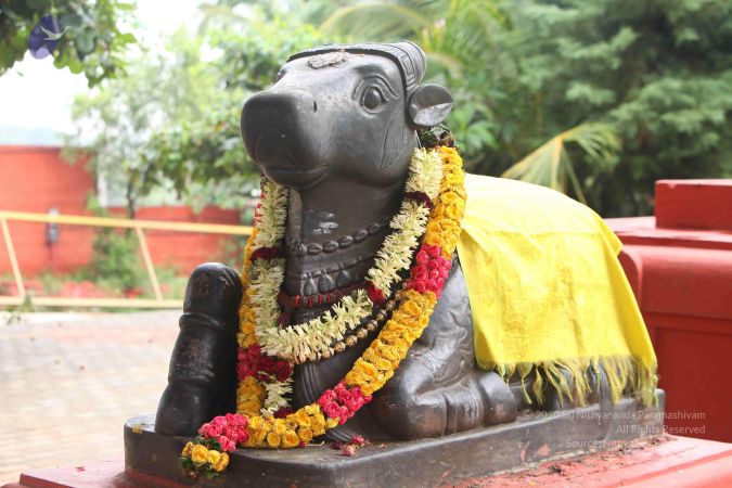 20151121 Photo 1031 1-z3yZ-1YDR8mPt06-f6fPBgi1x1SkJ g.JPG