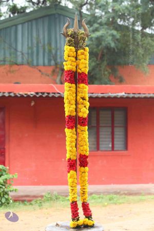 20151121 Photo 1033 1PQY-FDnnUxE-qxY1 VxH2D2D4jCiaNyj.JPG