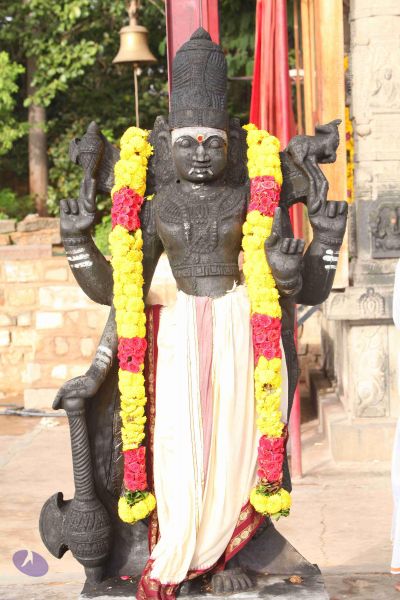 File:20151121 Photo 1042 1YpGTSyVf008Hm1vgkYd5M2NNYxRyBwu4.JPG