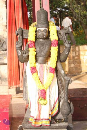 20151121 Photo 1043 1iSvx39KfejT32daMcD0h8Vb68F8vcWXD.JPG