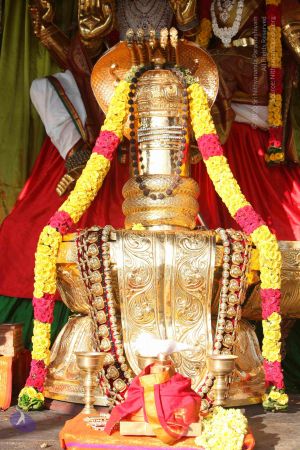 20151121 Photo 1048 1JqboYuB-F6T28AdfygHIKMOyPyeuiB3a.JPG