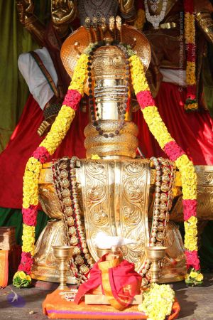 20151121 Photo 1049 1URsgVLPDkzfAYz5M7yNyc27VZZ4AWLg1.JPG