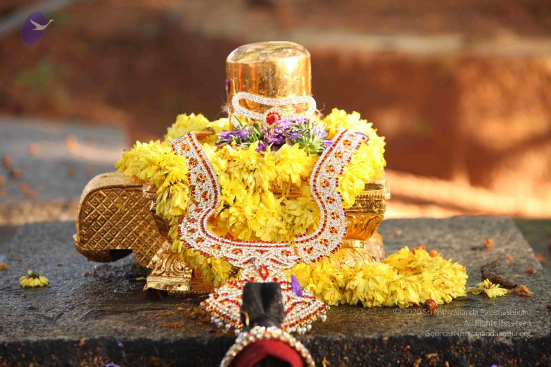 File:20151121 Photo 1060 1rXCYKVSDEujG7-H4DCJd0HXFGzPnZEF-.JPG