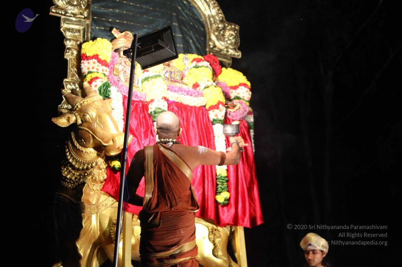 File:20151121 Photo 1233 1MuBpkst3We1X30O-w-88 3Iyx VWP y6.JPG