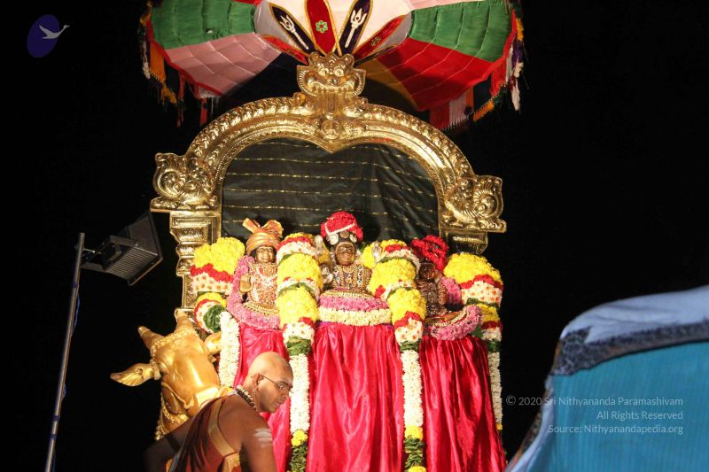 File:20151121 Photo 1355 1I aEr-ZZOadJ3NLxy24VQfvmbji9Mhvw.JPG