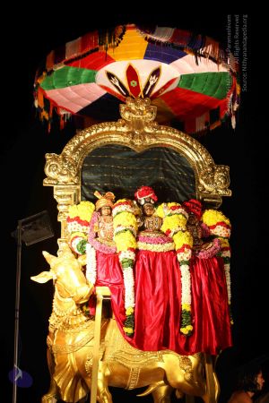 20151121 Photo 1393 15f6fIT8RzJq9FAv99x-nZZusaZYDQQlN.JPG