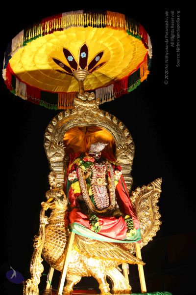 File:20151121 Photo 1396 1U5i9SSk0HIqKBB QKQDPY6w6Tr9iImB9.JPG