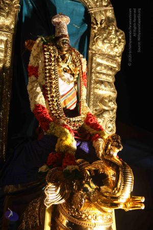 20151121 Photo 1404 1UN3Q6knsrq5kxNo93id4CUIEJW8qcxLM.JPG