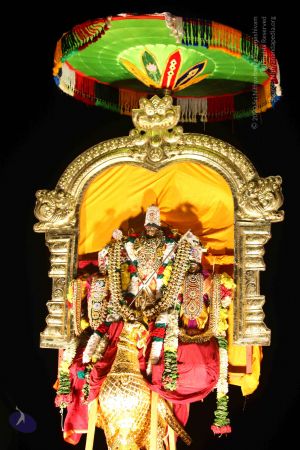 20151121 Photo 1406 160LF3V3c9iricW05oYxyOE V1bGSAV5h.JPG