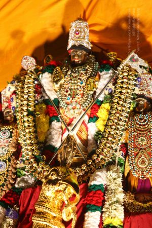 20151121 Photo 1408 1p7V2wAa5UCq1PYGe-w9hYIP4qPI2wAnR.JPG